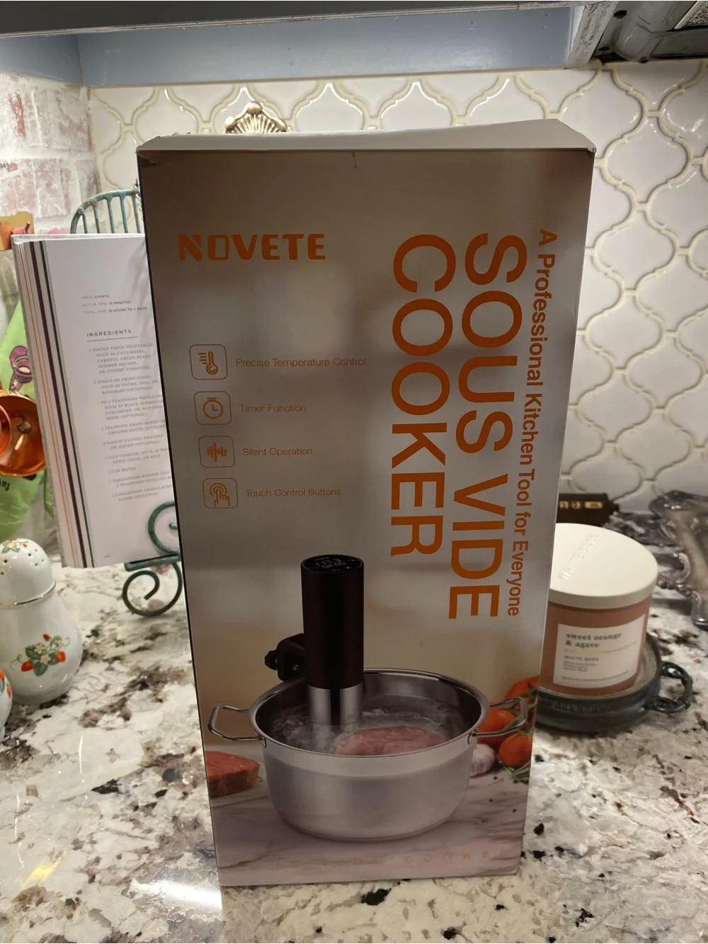 NOVETE Sous Vide Cooker Immersion Circulator SV05A 800W 120V Black/ Silver